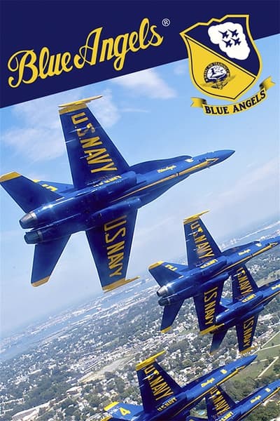 Blue Angels Aeorbatic Flight Simulator